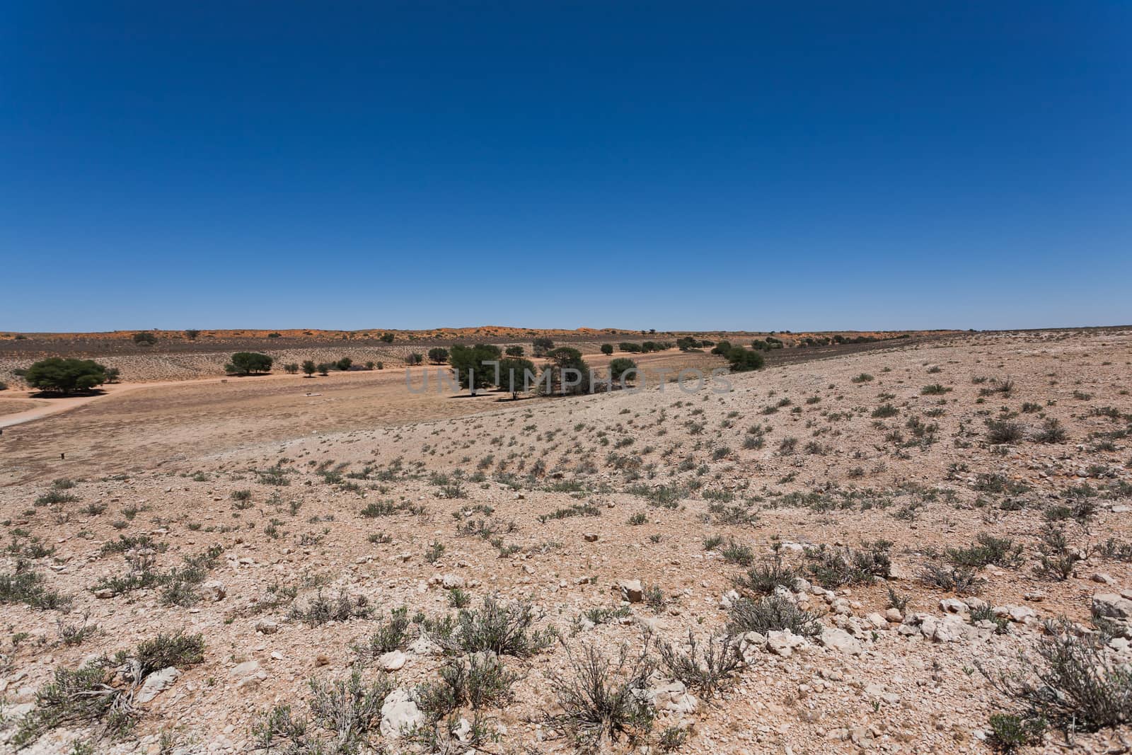 Panorama from Kgalagadi National Park, South Africa