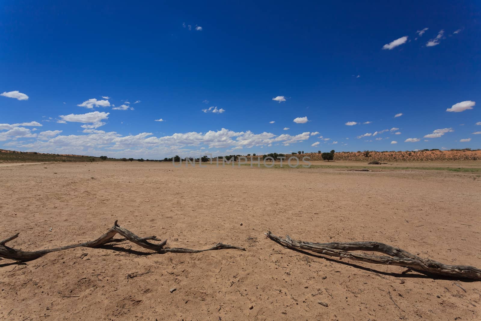 Panorama from Kgalagadi National Park, South Africa