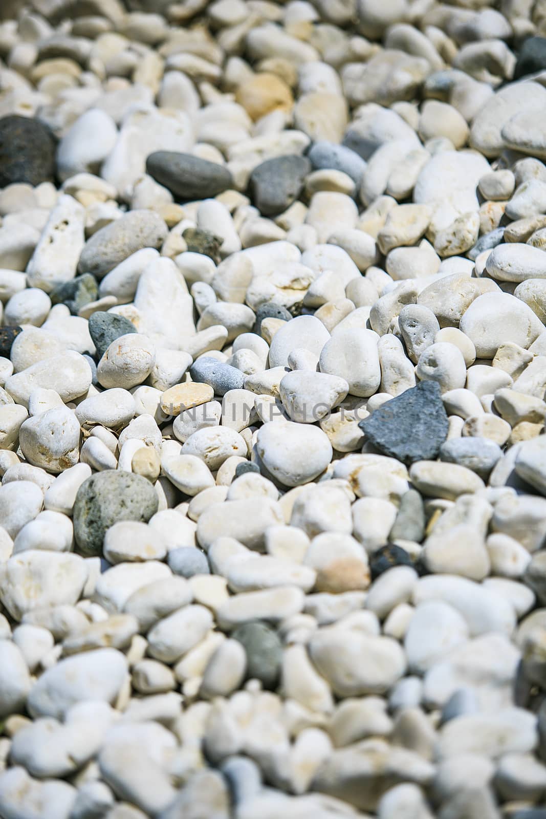 Rounded Stones on the beach