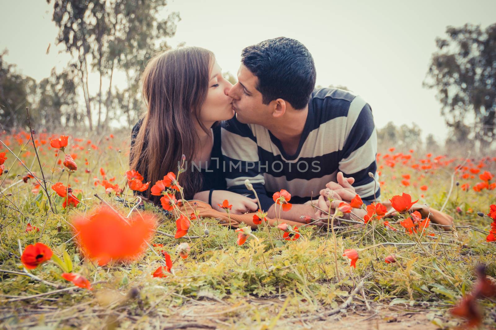 Young couple kissing while lying on the grass in a field of red poppies.