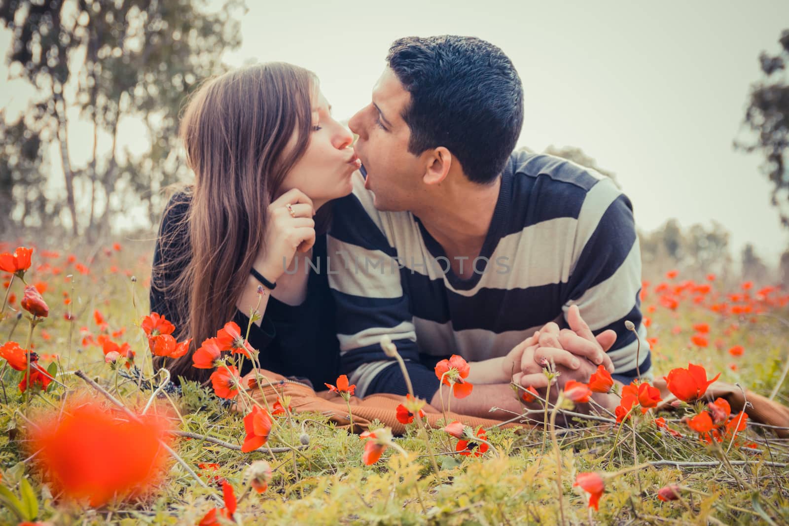 Young couple making silly faces to each other while they laying on the grass in a field of red poppies.