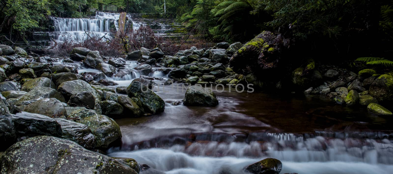 Beautiful Liffey Falls in the Midlands Region, Tasmania after heavy rain fall.