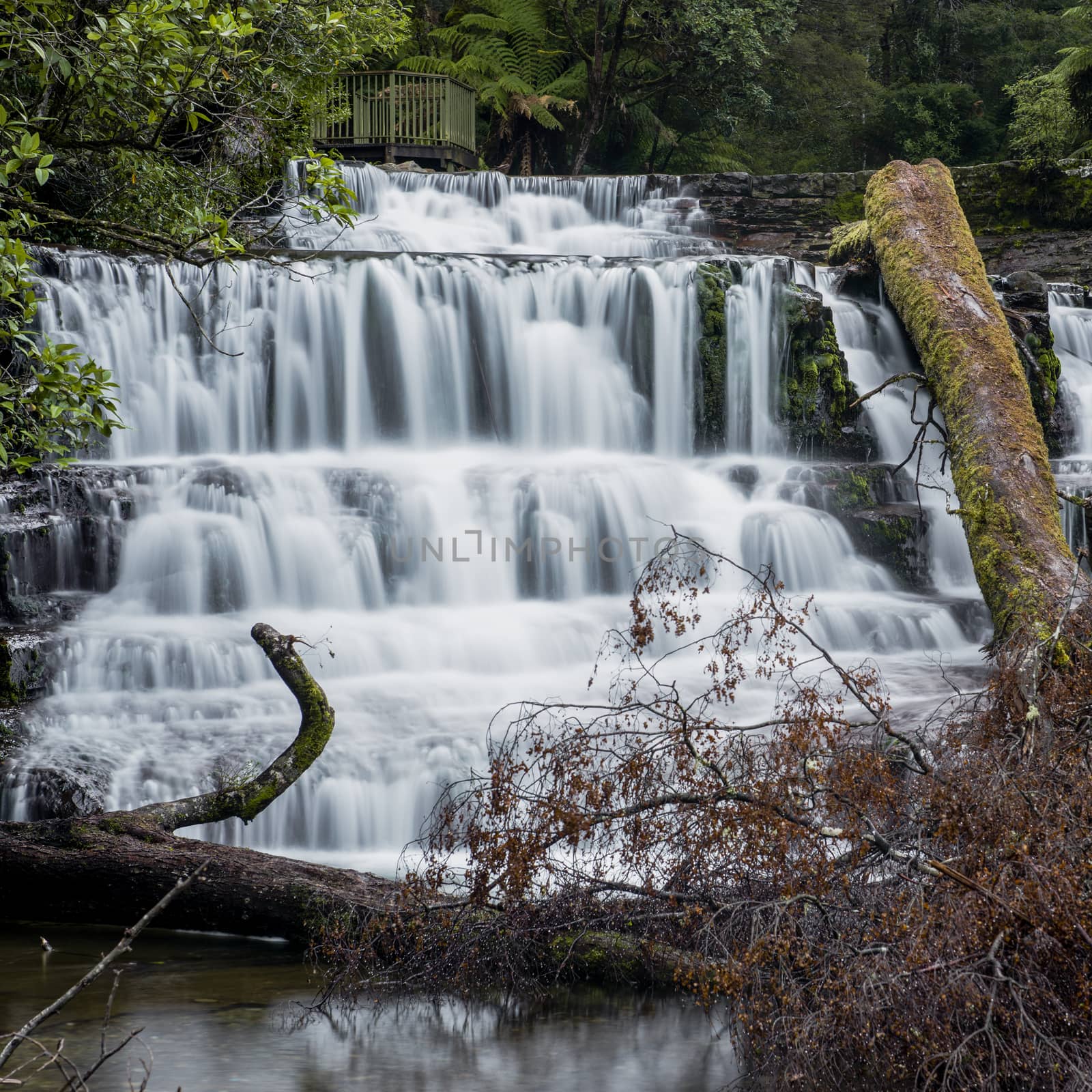 Beautiful Liffey Falls in the Midlands Region, Tasmania after heavy rain fall.