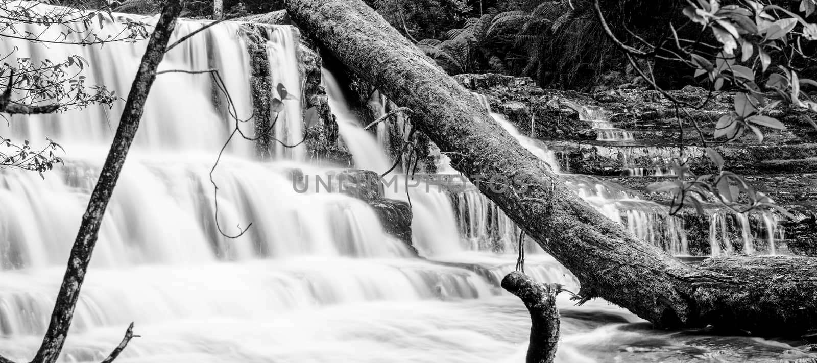 Beautiful Liffey Falls in the Midlands Region, Tasmania after heavy rain fall.