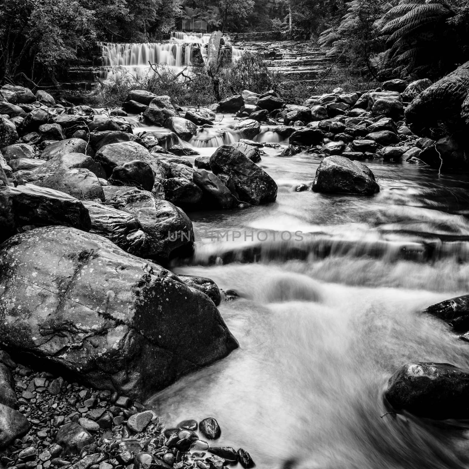 Beautiful Liffey Falls in the Midlands Region, Tasmania after heavy rain fall.