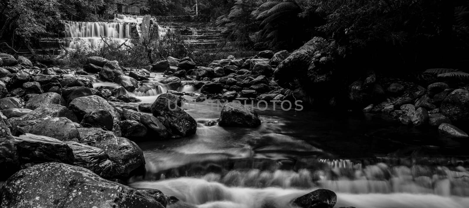 Liffey Falls in the Midlands Region, Tasmania by artistrobd