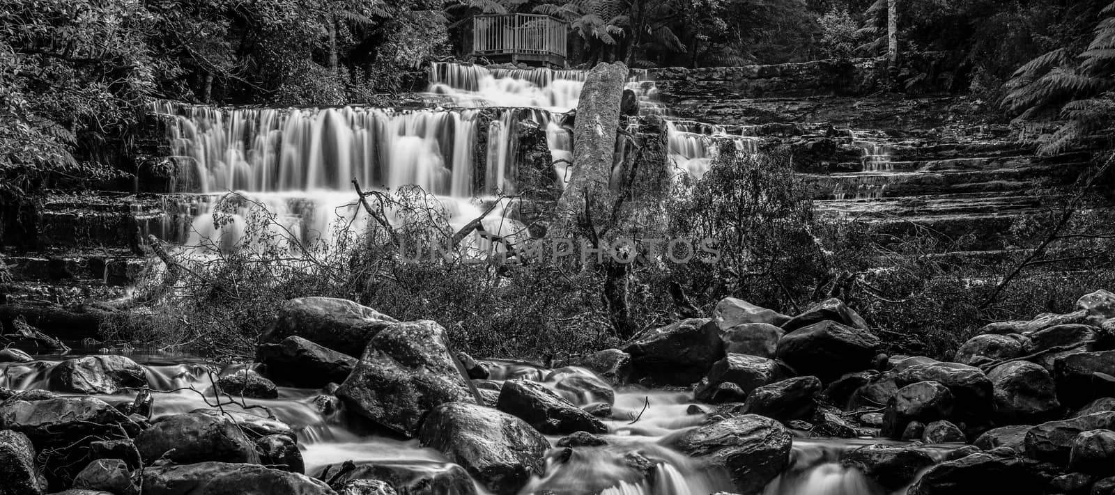 Beautiful Liffey Falls in the Midlands Region, Tasmania after heavy rain fall.
