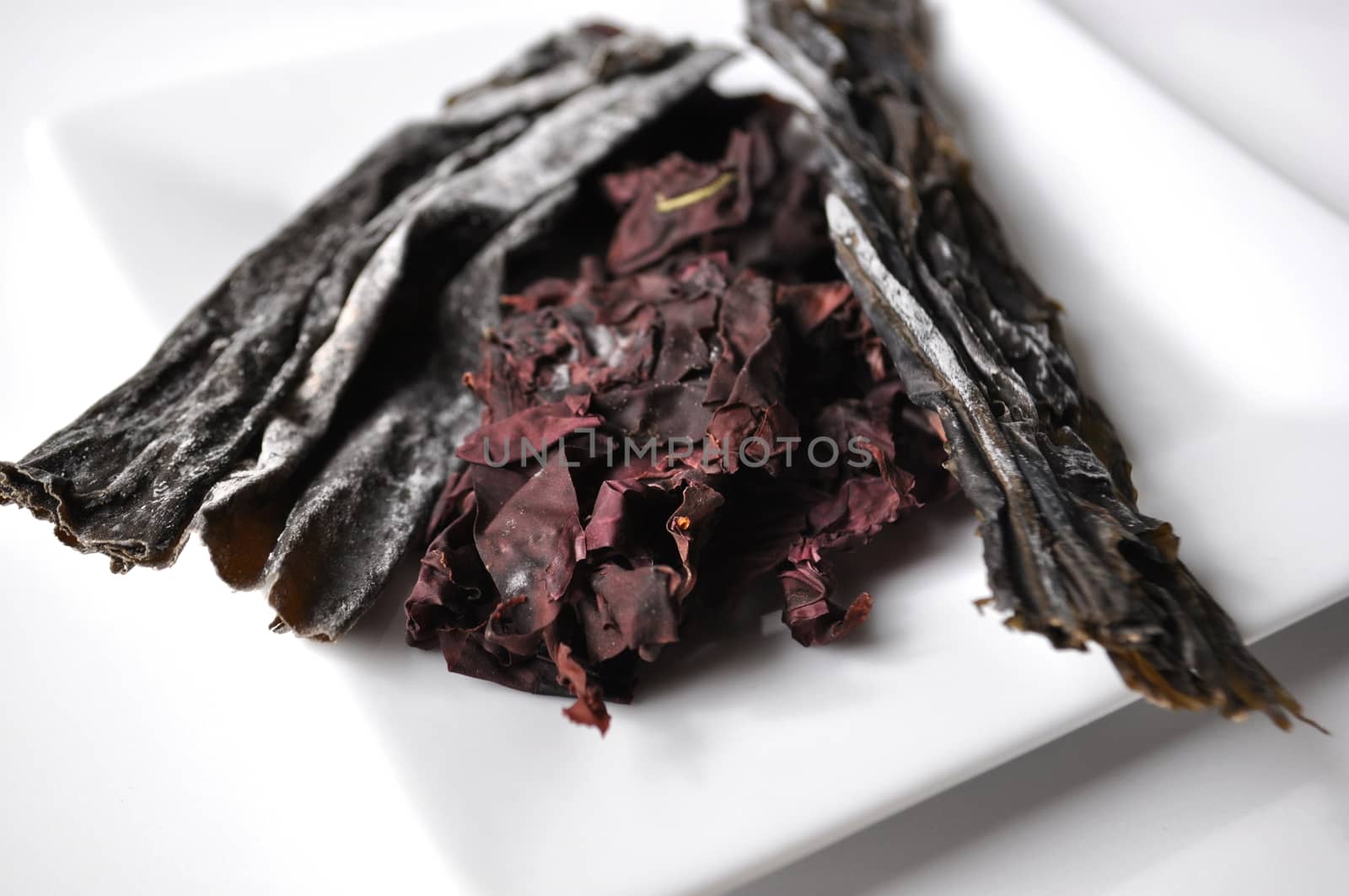 Dulse, wakame and kelp seaweed close-up on white plate by Akvals