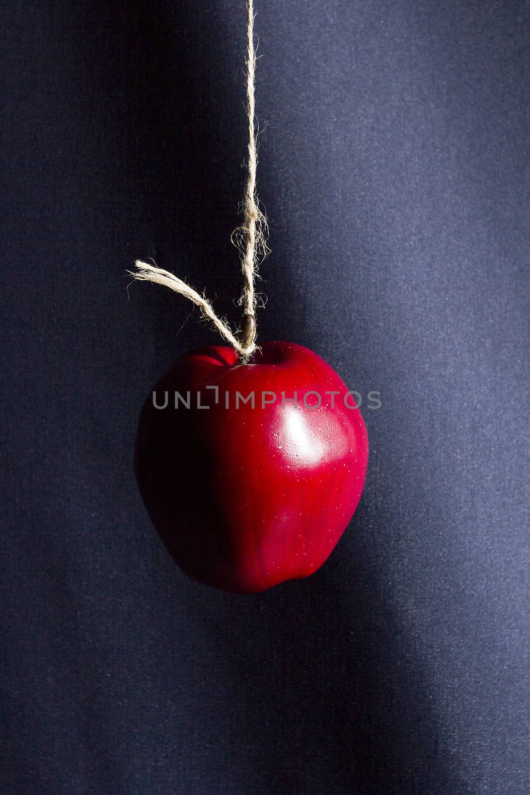 Red ripe apple on a rope on a dark background