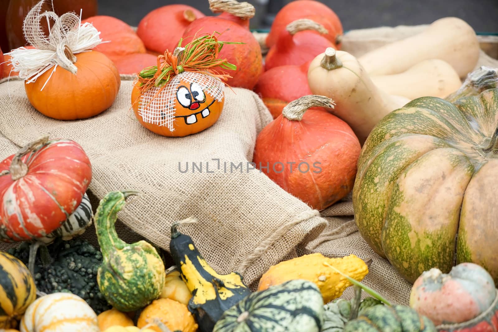 A group of colourful gourds in Friedrichsdorf by phil_bird