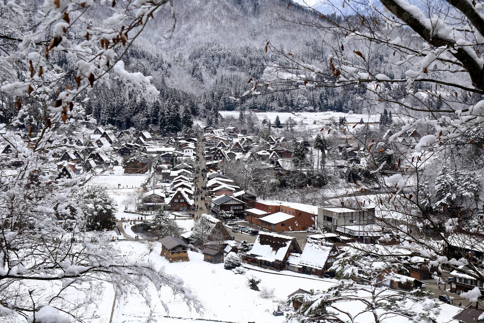 A Shot of Shirakawa-go looking through the trees on the mountainside
