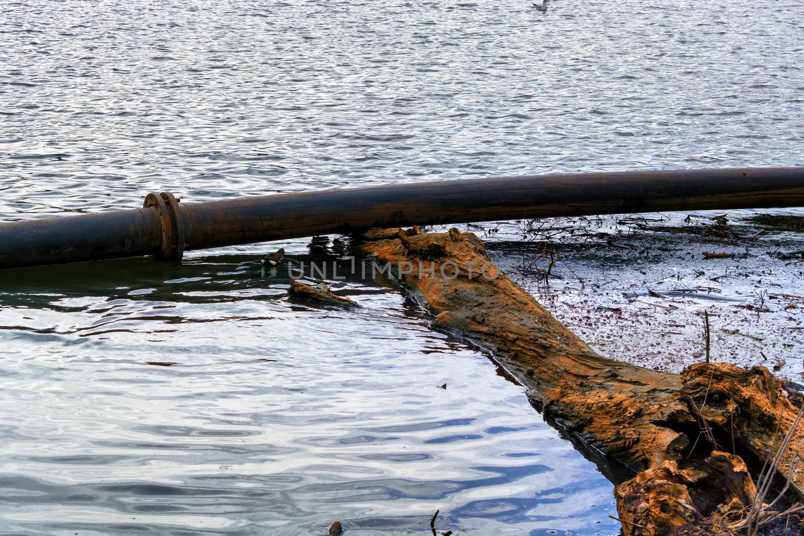 Pipeline, plastic pipes float on the water surface.