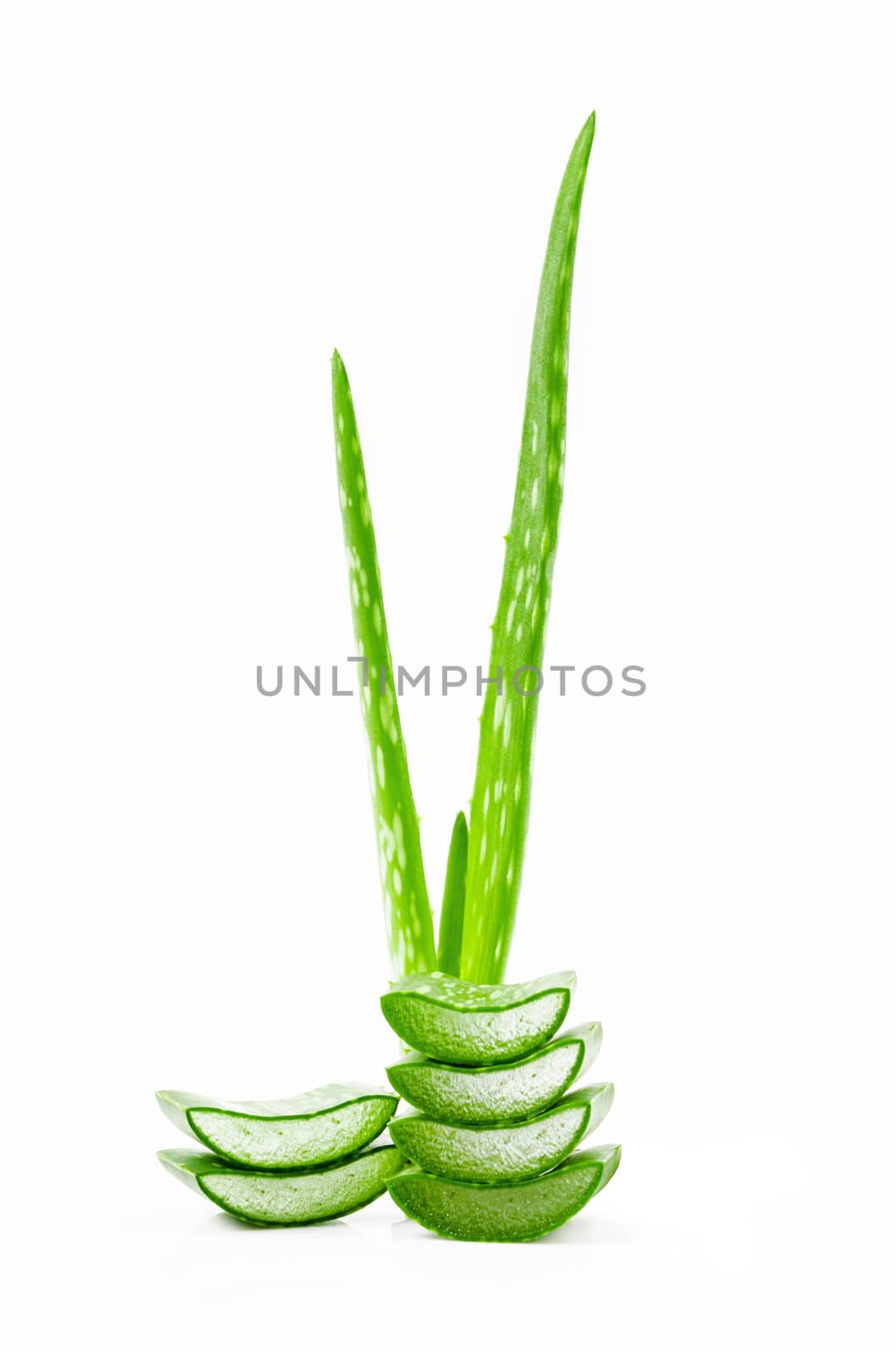 Slice fresh aloe vera isolated on white background.