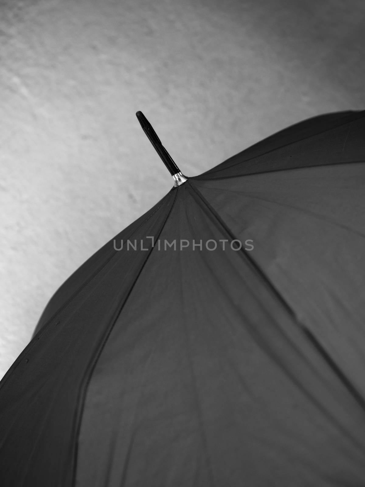BLACK AND WHITE PHOTO OF CLOSE-UP OF UMBRELLA