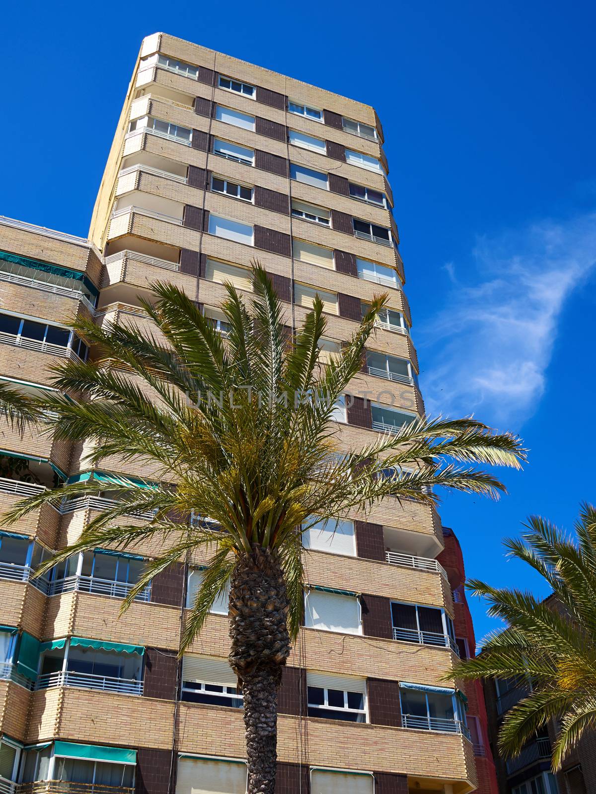 Sunny Mediterranean popular summer tourist destination beach, promenade with palm trees Torrevieja, Valencia, Spain