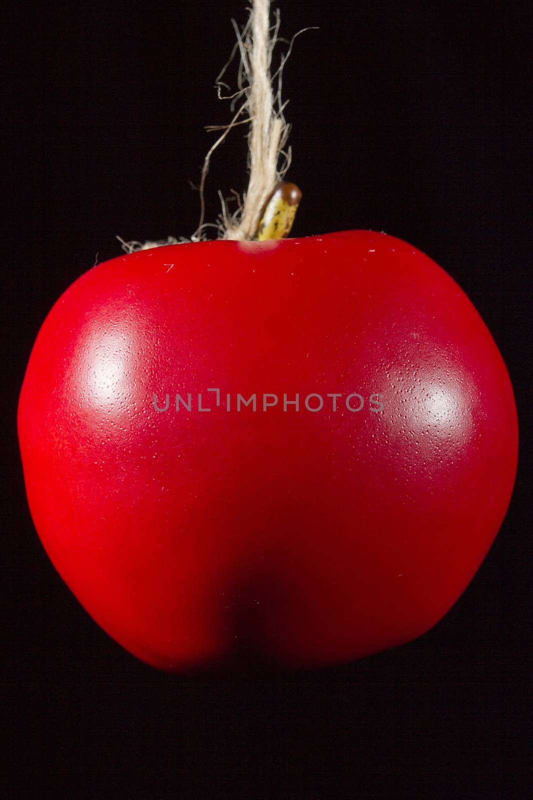 Red ripe apple on a rope on a dark background