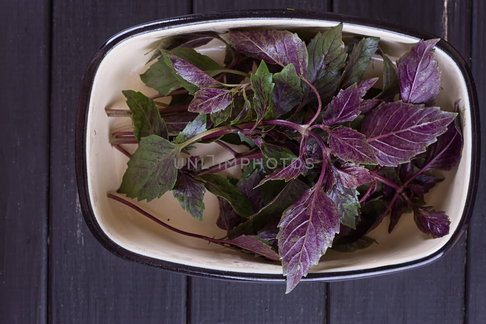 Sweet basil in white ceramic mortar on a dark stone background