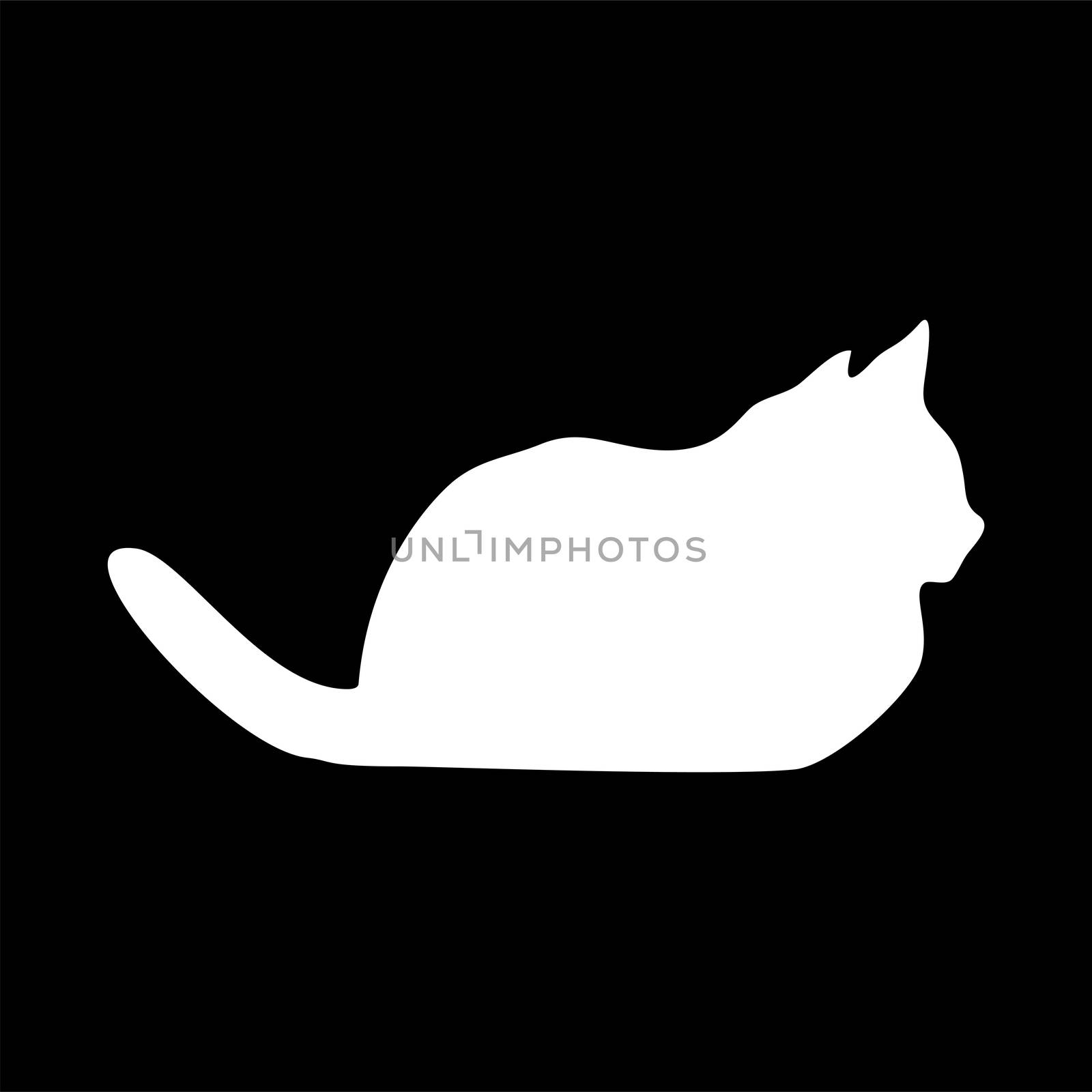  cat logo. Light white silhouette isolated from background. Cat pet in line art.