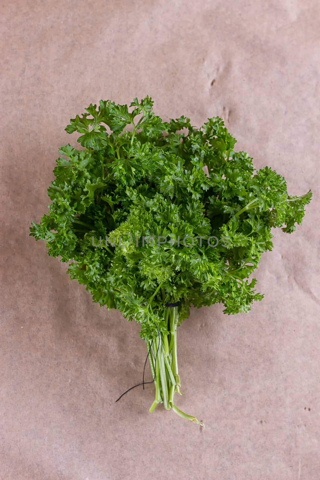 Bunch of parsley and wrapping paper by victosha