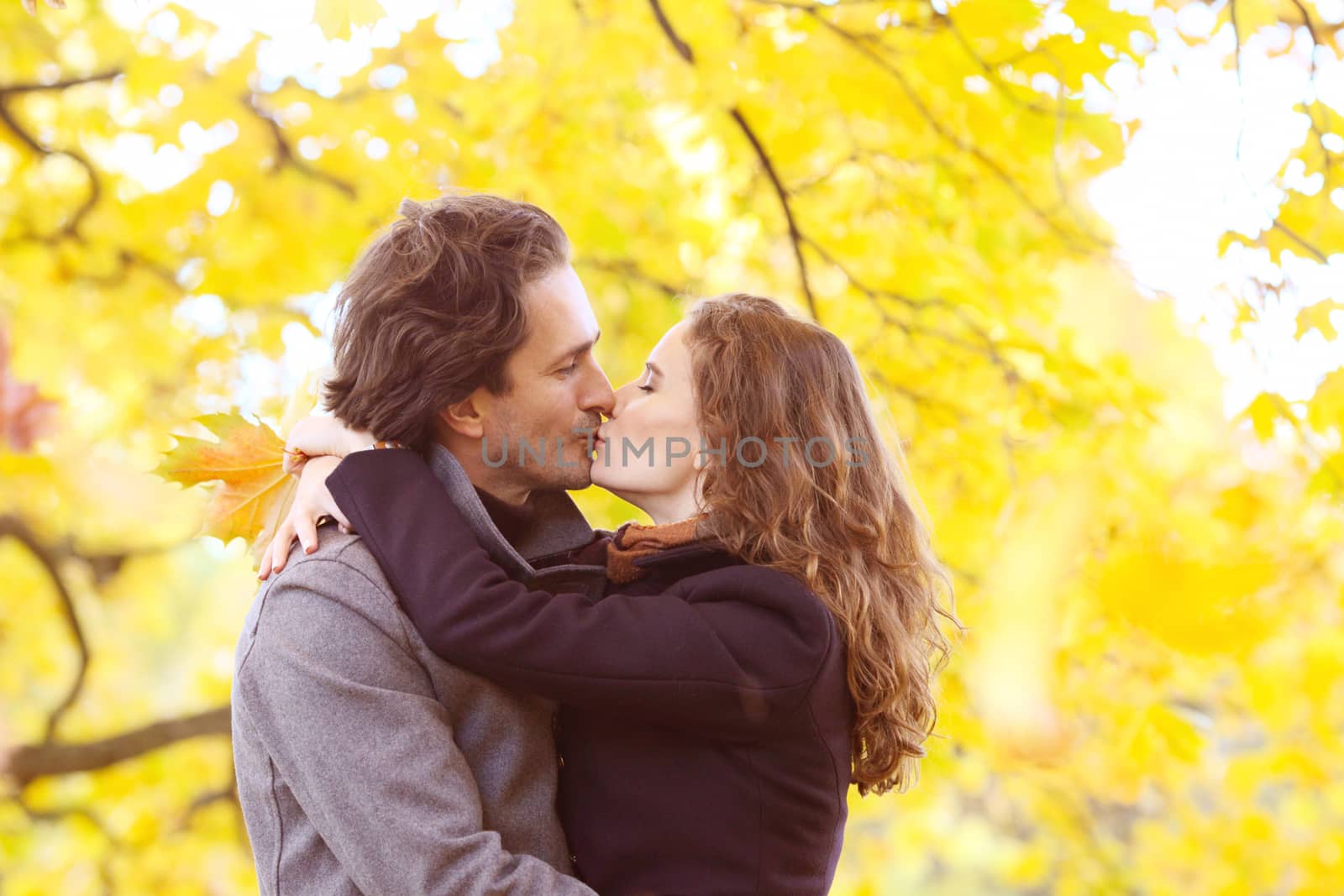 Couple kissing in autumn park by ALotOfPeople