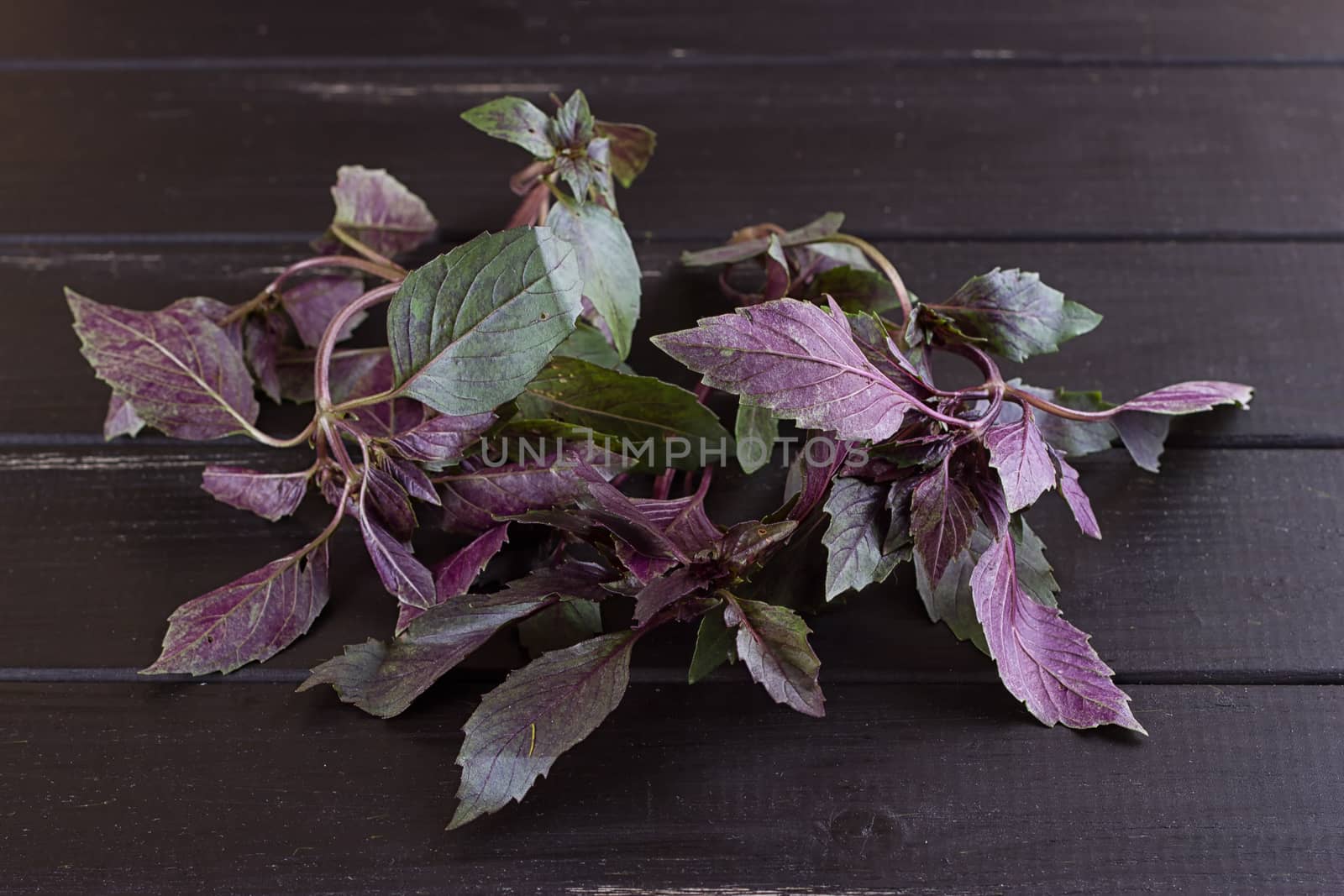 Bunch of basil on a black wooden background