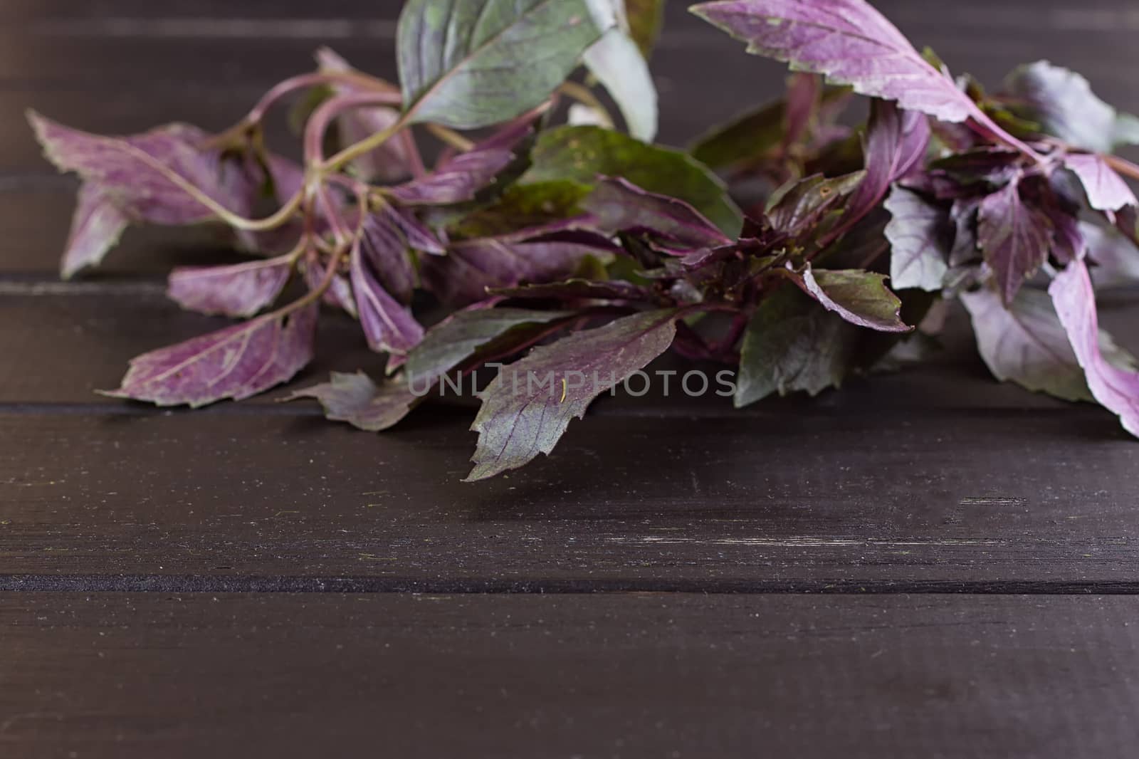 Bunch of basil on a black wooden background