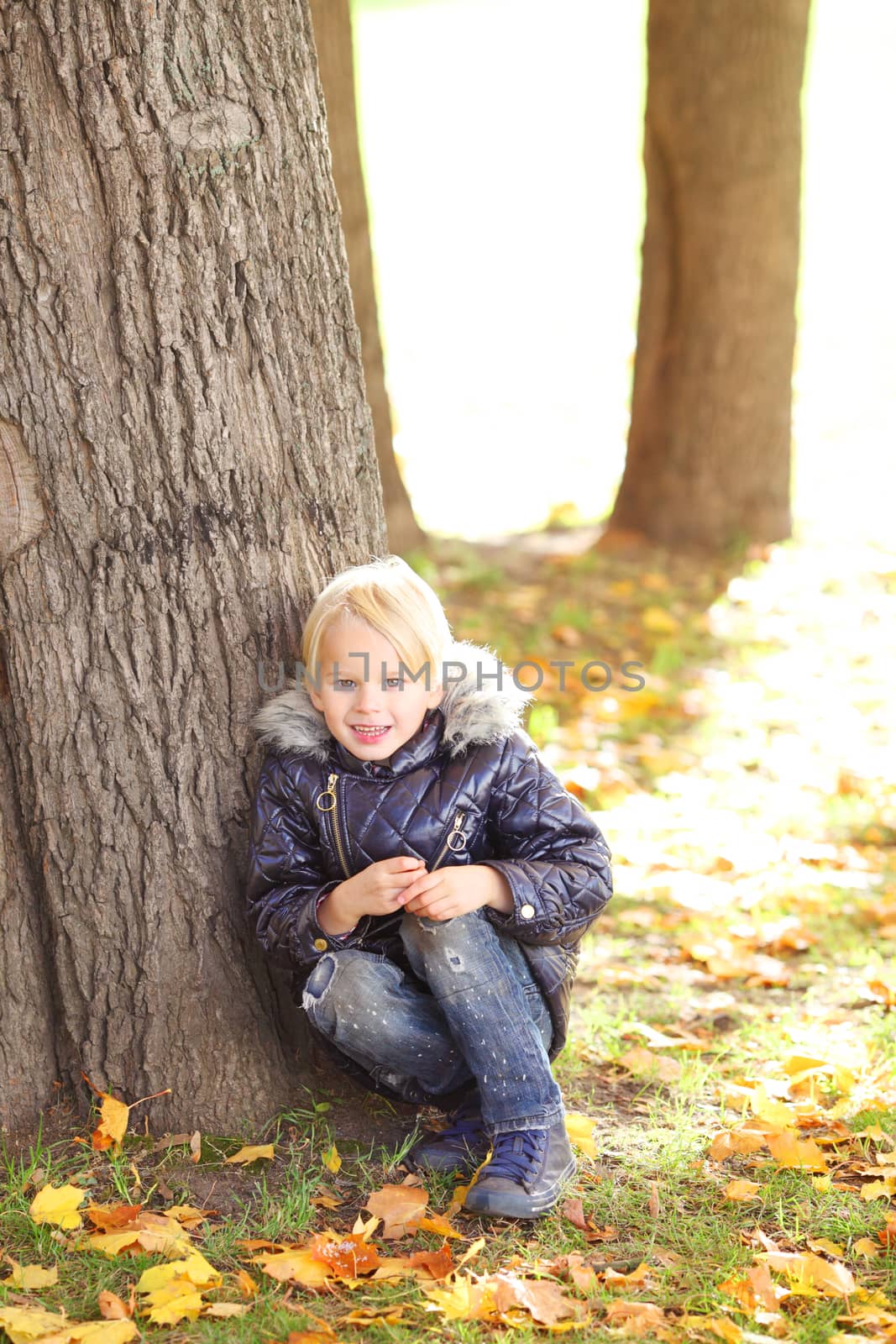 Small boy sitting under the tree in autumn park