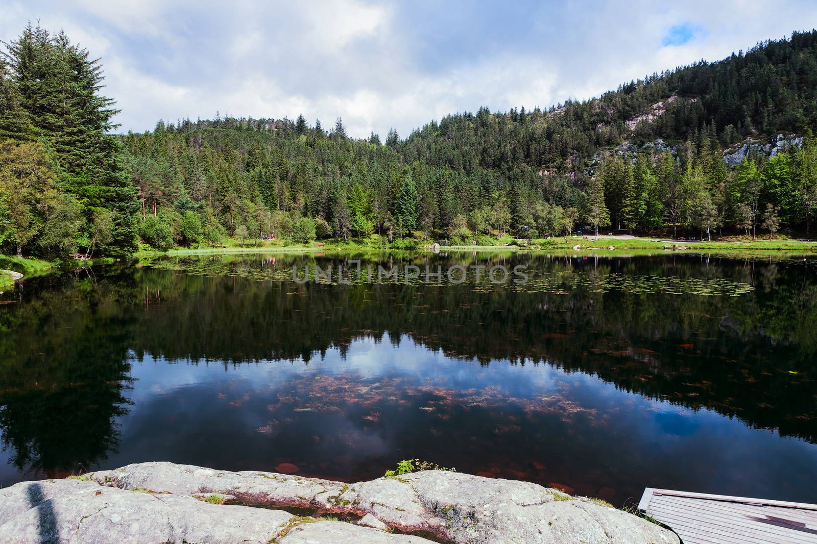 Trees and sky reflected in a fjord in Norway near Bergen 