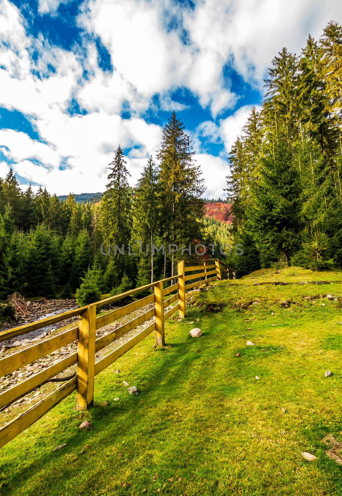 wooden fence in forest camping place by Pellinni