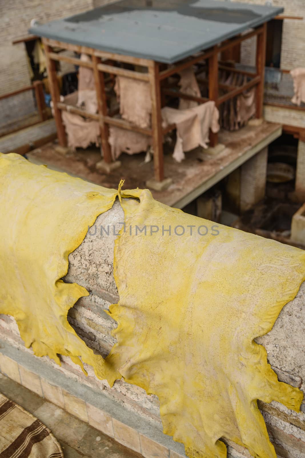 Old tannery in Fez, Morocco by johnnychaos