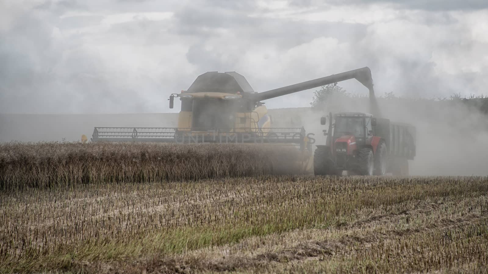 Harvesting by alan_tunnicliffe