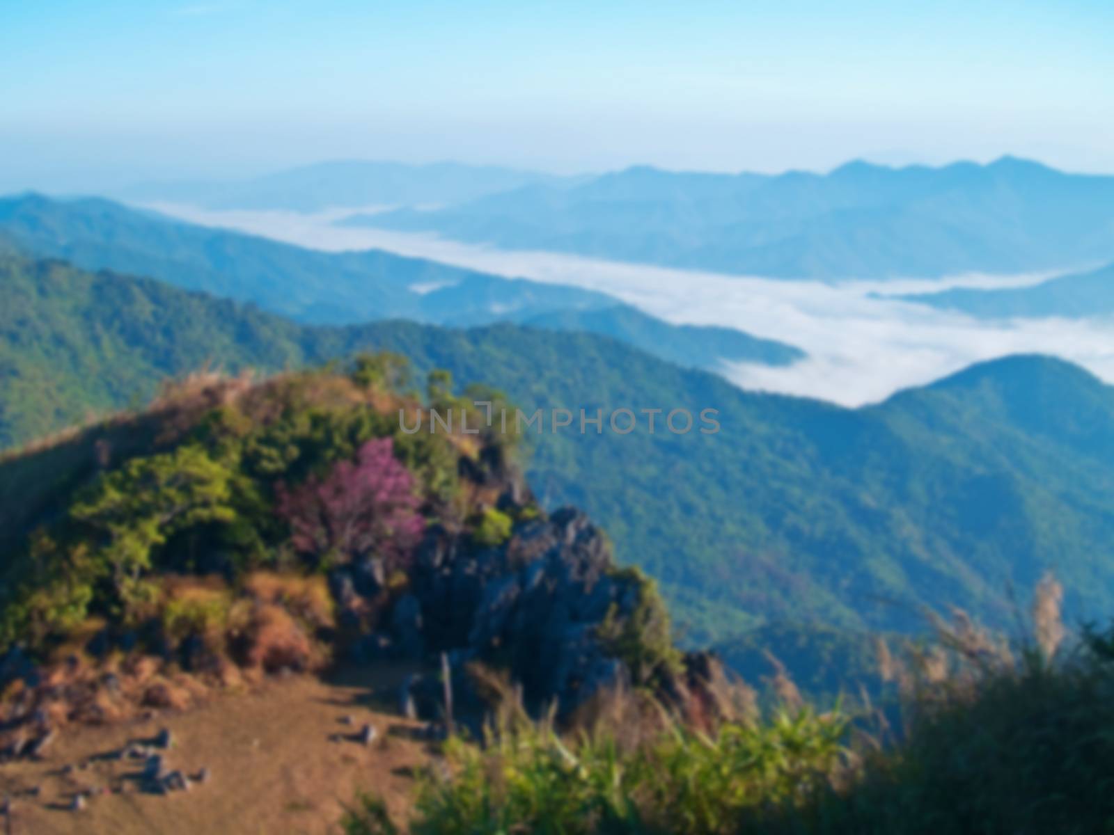 Blurred view of mountain with mist and forest