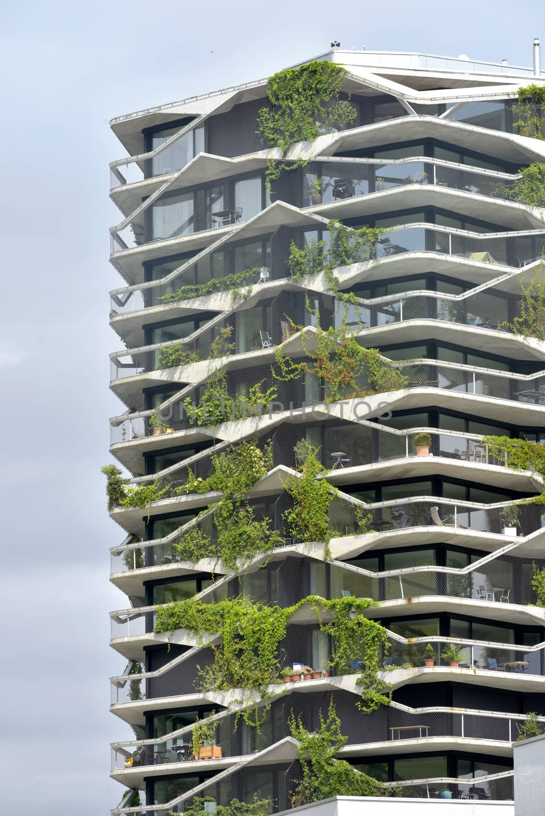 A green residential tower with climber plants -  Bern, Switzerland - 23 july 2017