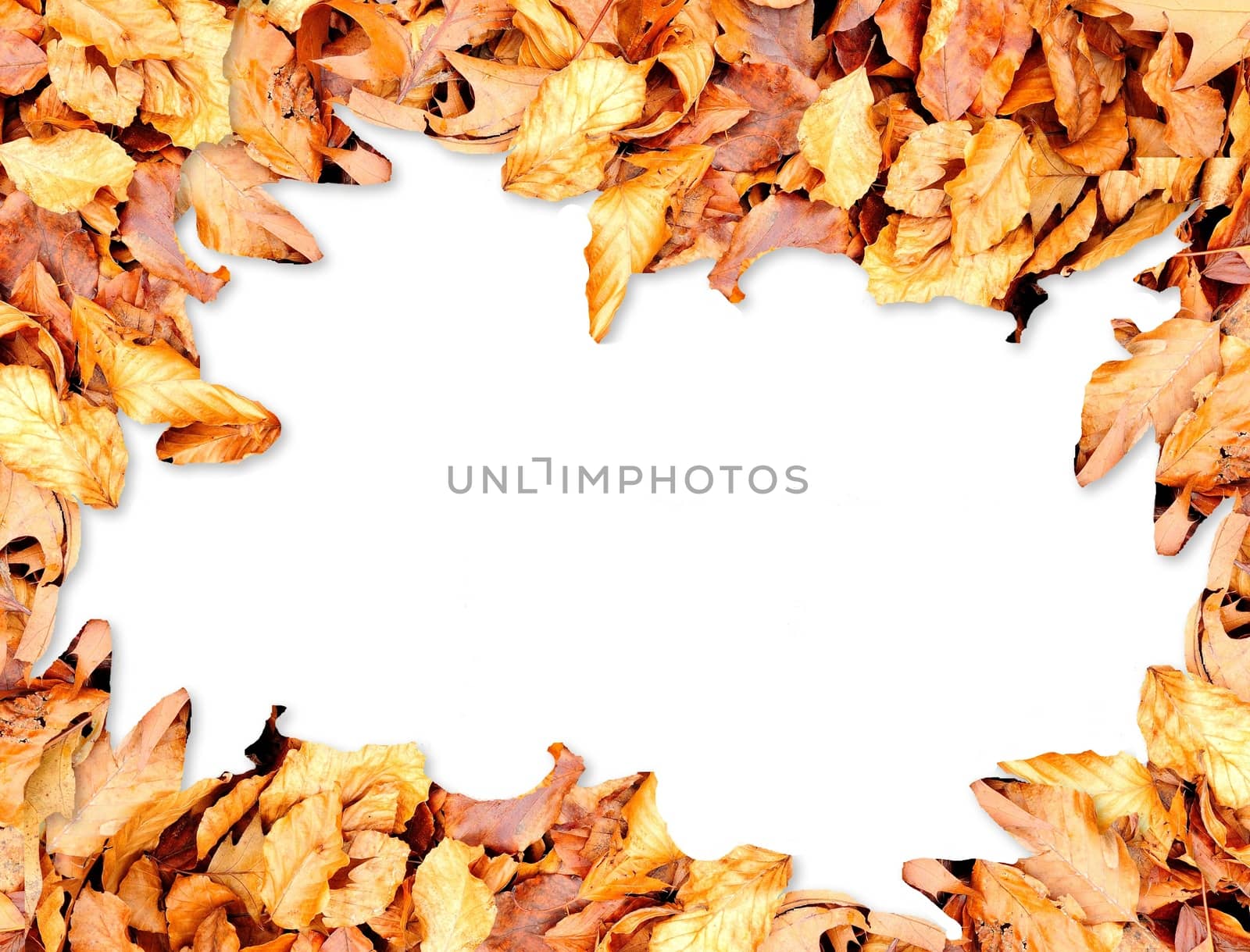 Frame with autumn leaves by hamik