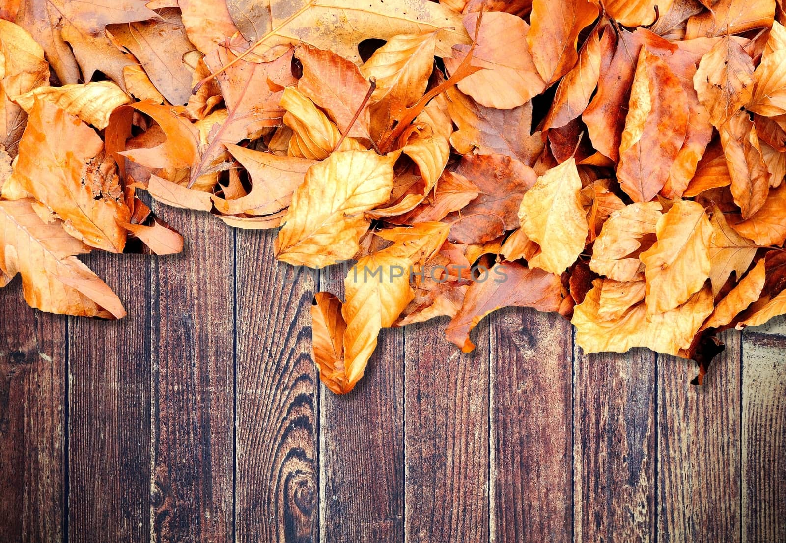 Frame from autumn leaves on plank brown wooden background on the top side.