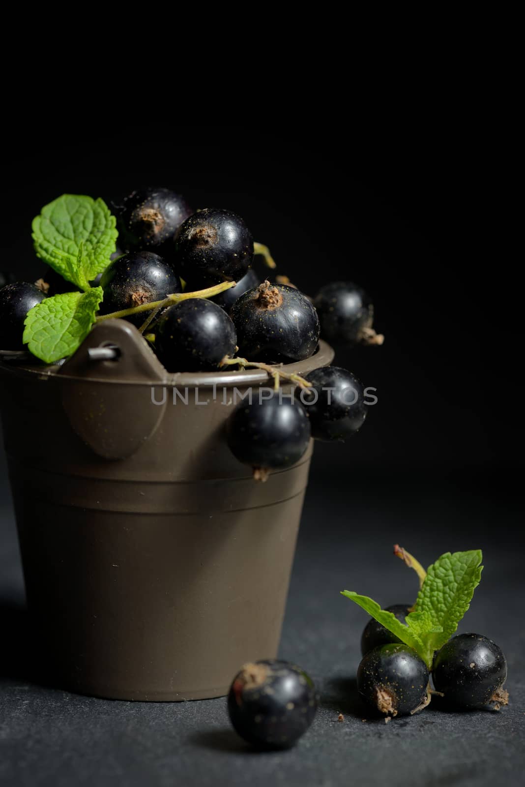 Black currant with mint  leaf isolated