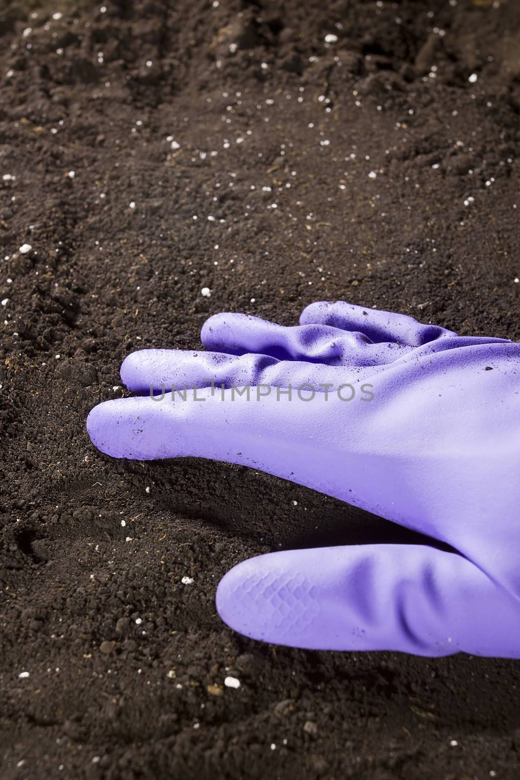 Hand in rubber glove on the ground by VIPDesignUSA