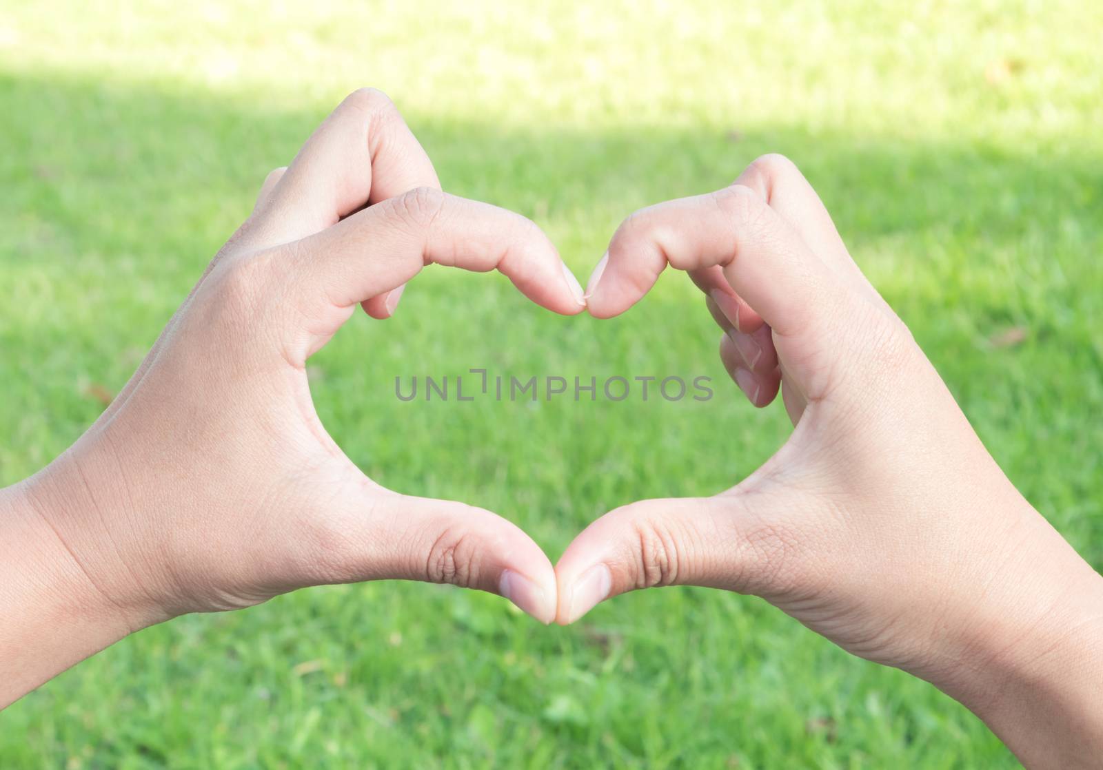 Closeup hand make heart shaped on green grass with sun light for love concept, selective focus