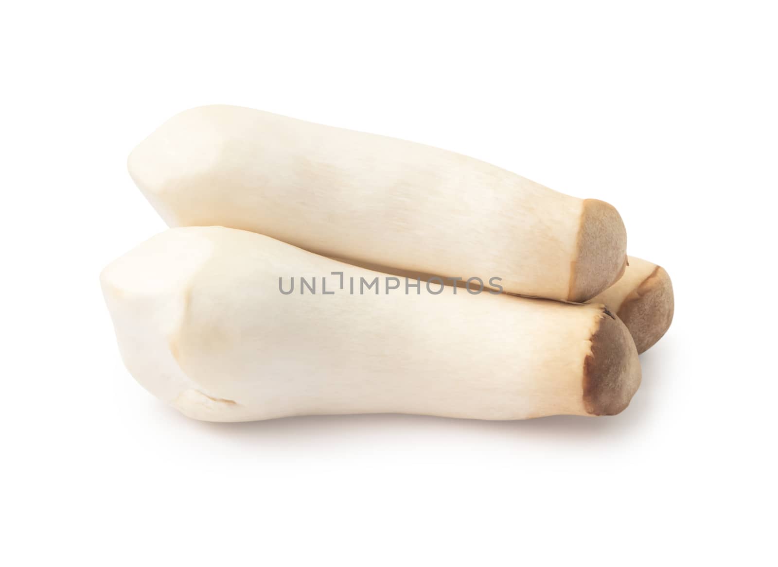 Orinji mushrooms isolated on white background with clipping path, raw food cooking concept