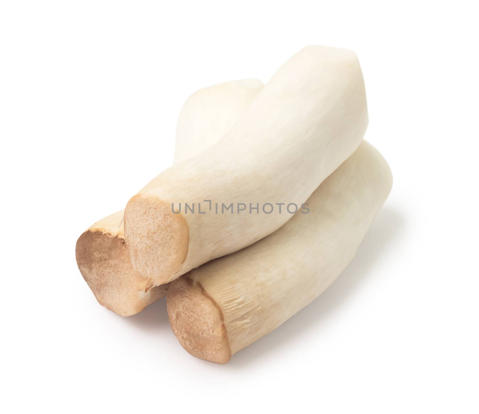 Orinji mushrooms isolated on white background with clipping path, raw food cooking concept