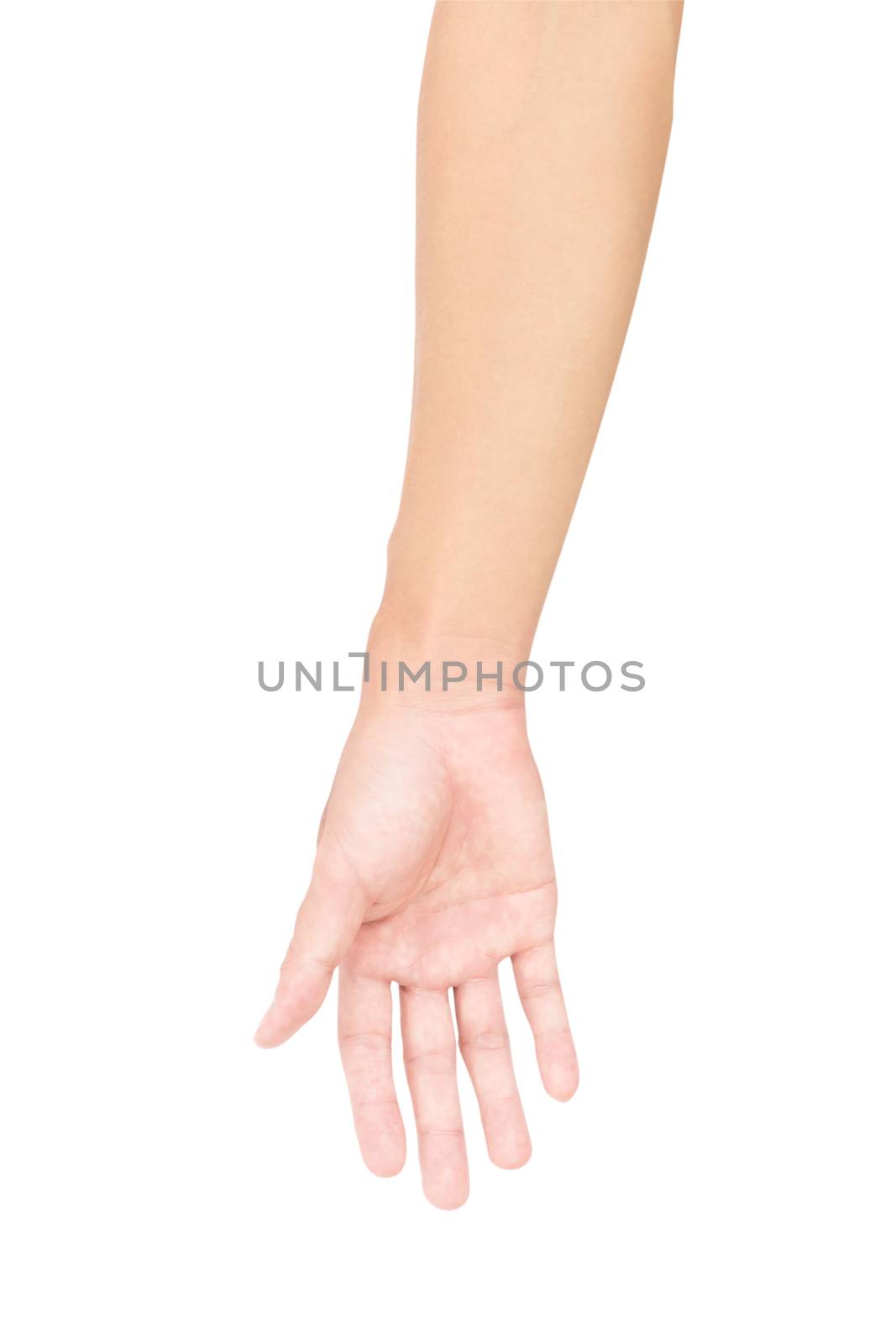 Man arm with blood veins on white background with clipping path, health care and medical concept