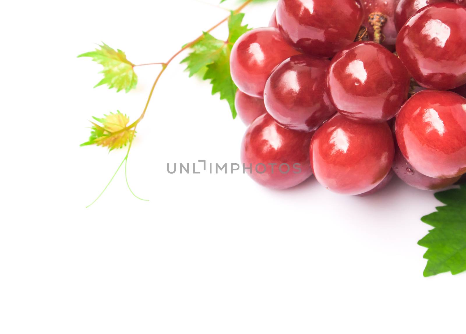 Closeup ripe red grape with leaf on white background, fruit healthy concept