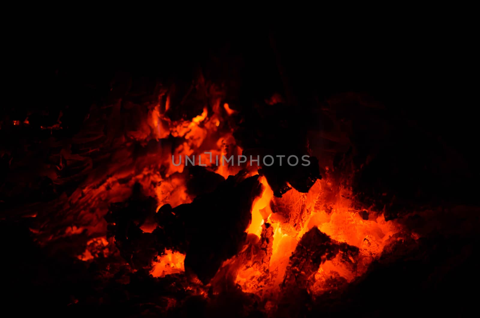 the bonfire is burning firewood in forest