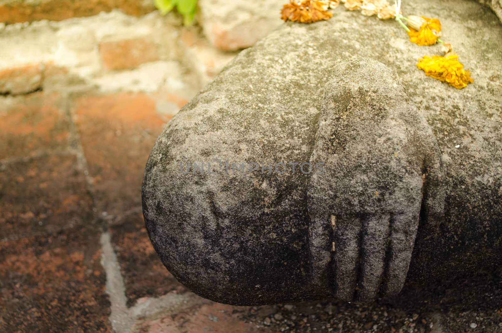 Wat Mahathat temple is located almost right in the center of Ayutthaya. The temple is believed to be built during the 14th century A.D.