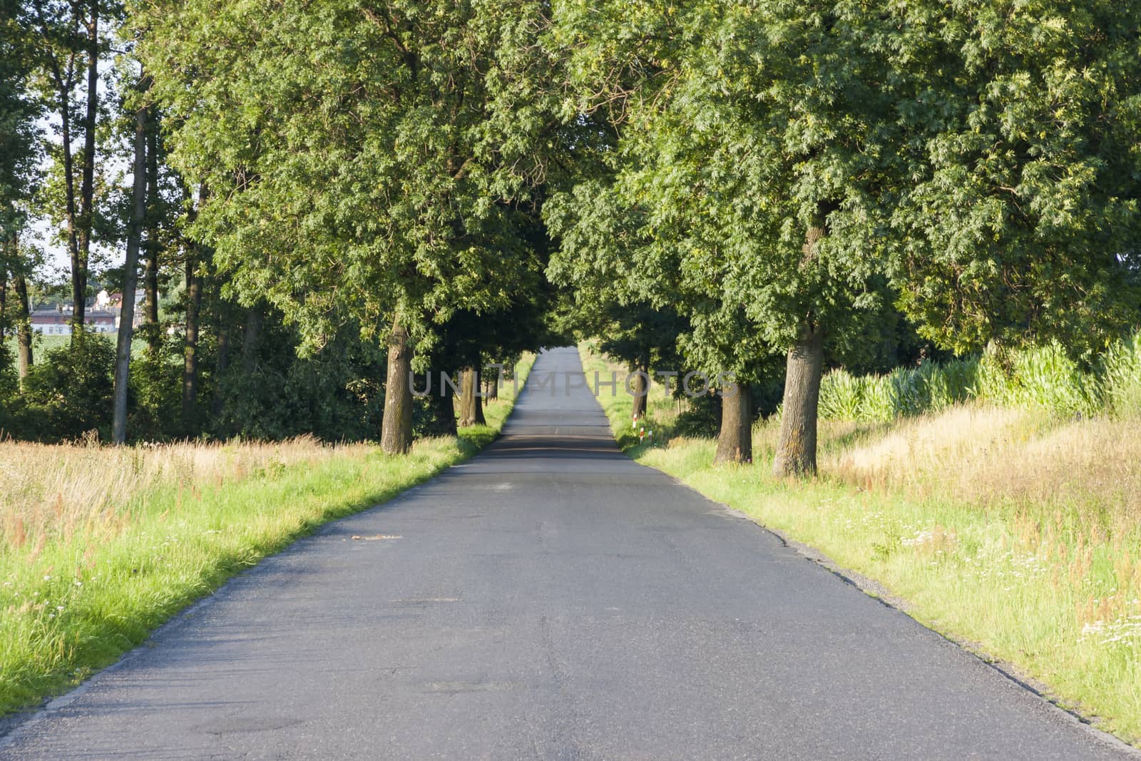 Empty rural straight asphalt route. by parys