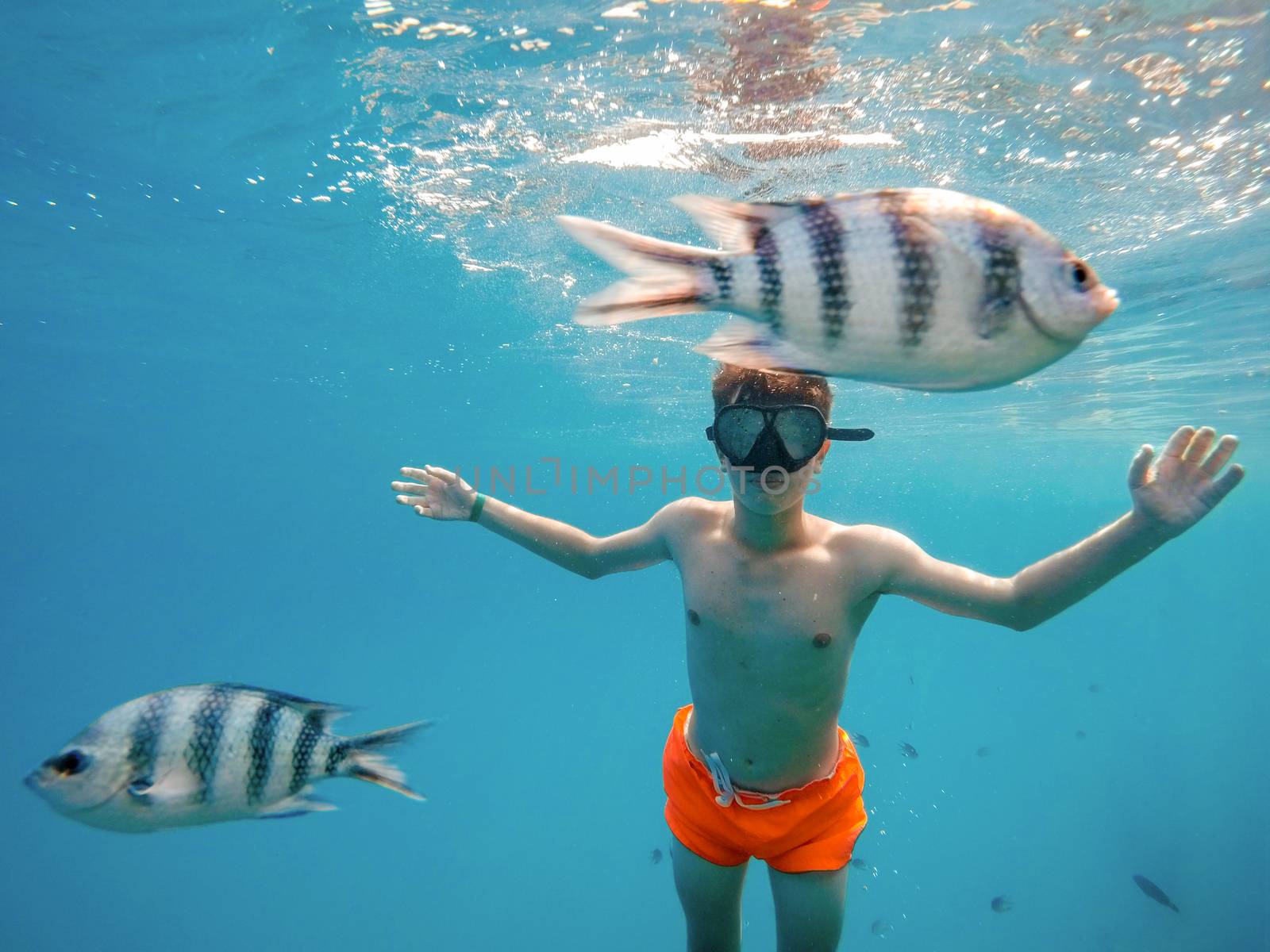 Young boy Snorkel swim in shallow water with coral fish by artush
