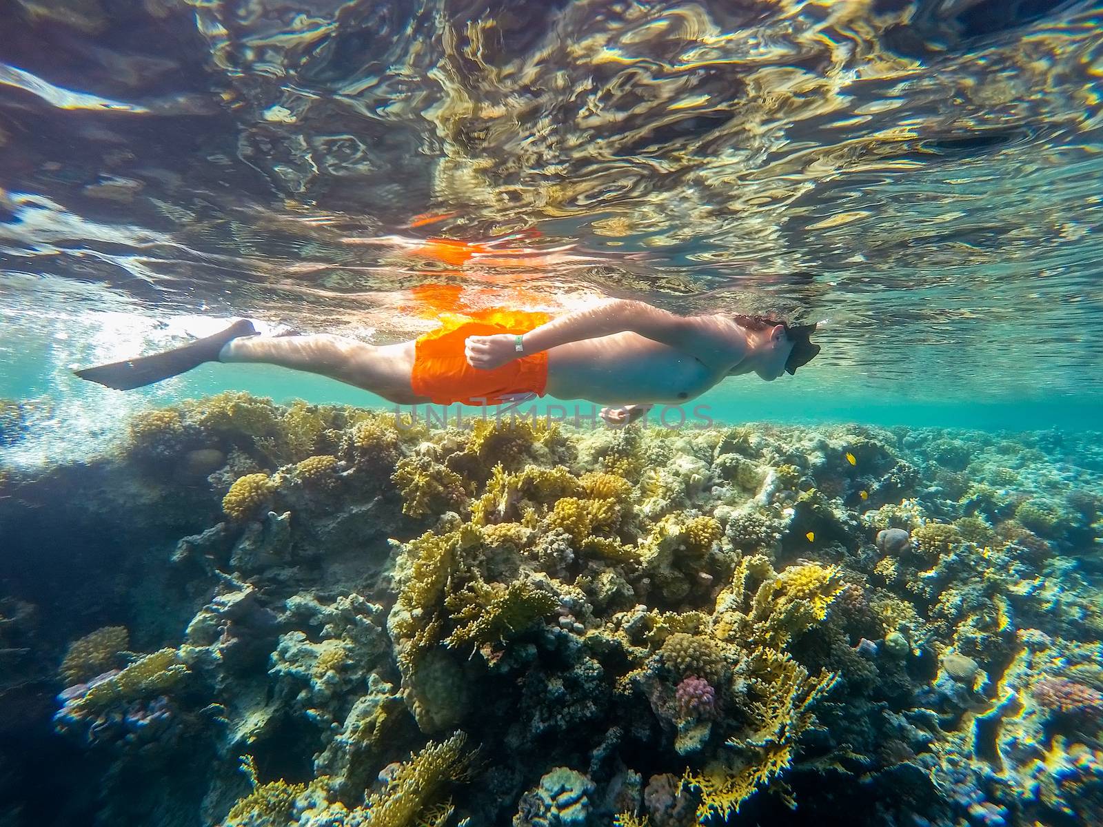 Young boy snorkel swim in underwater exotic tropics paradise with fish and coral reef, beautiful view of tropical sea. Marsa alam, Egypt. Summer holiday  vacation concept