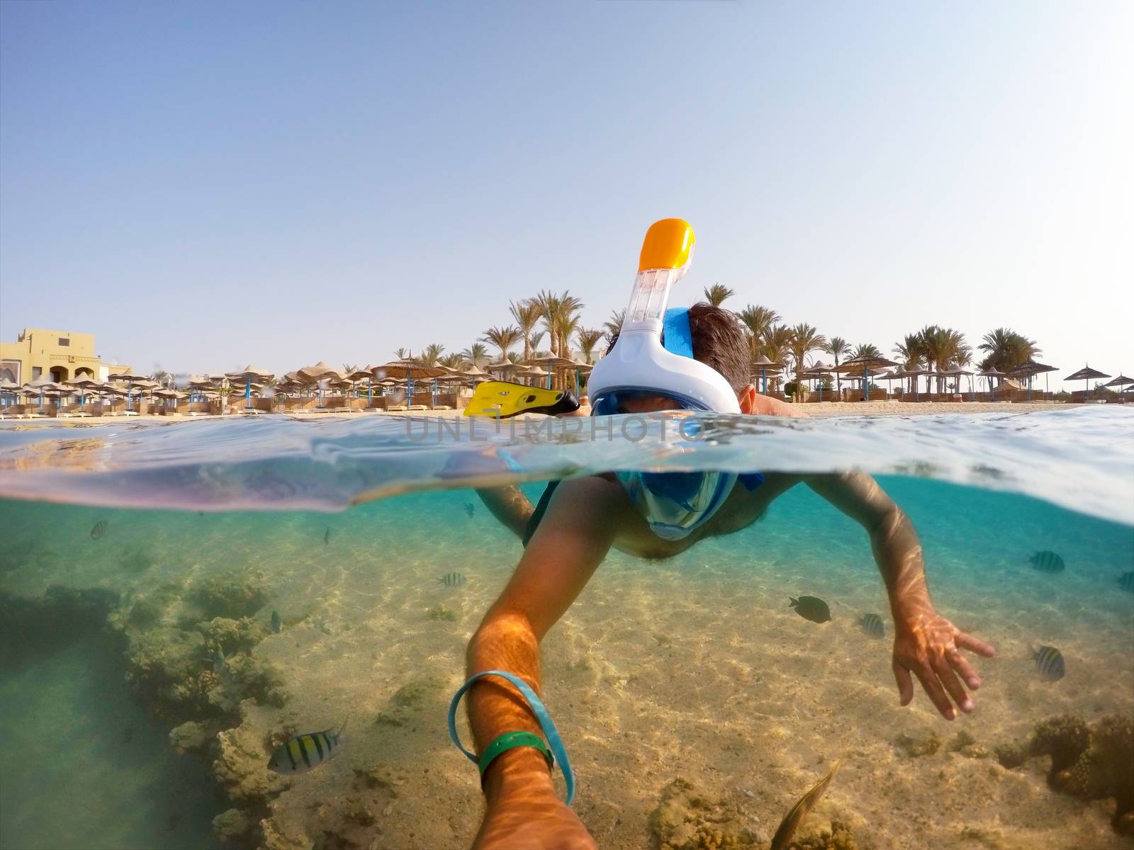 Snorkel swim in underwater exotic tropics paradise with fish and coral reef, beautiful view of tropical sea. Marsa alam, Egypt. Summer holiday vacation concept