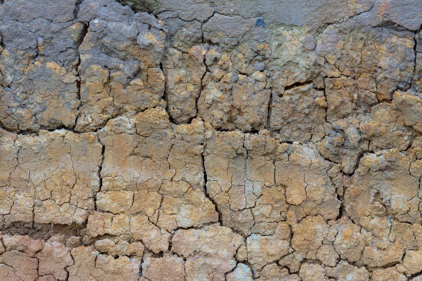 Natural background - Cracked clay.