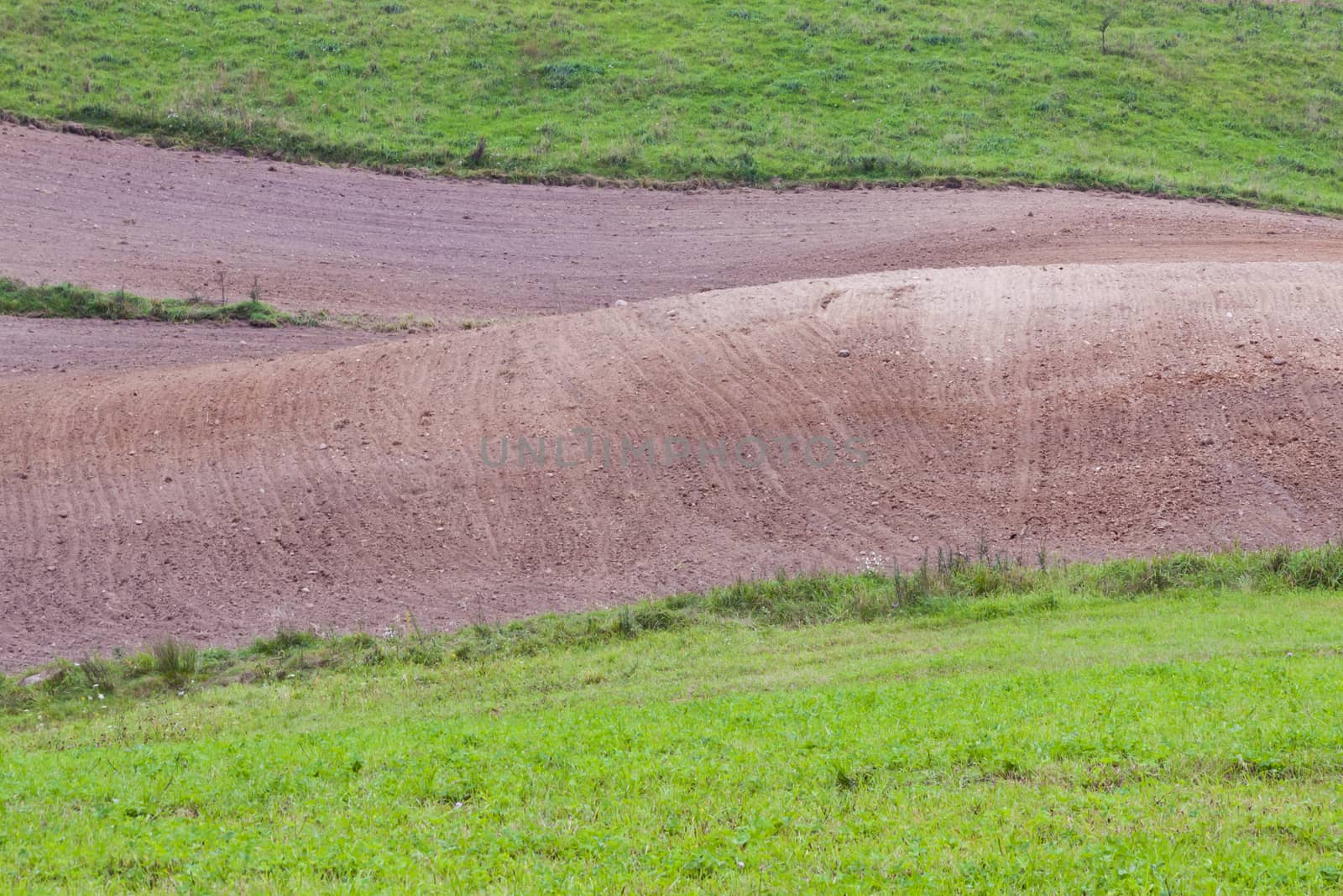 Green meadow and ploughed brown field.